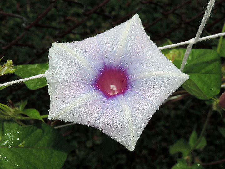 DSCN0165