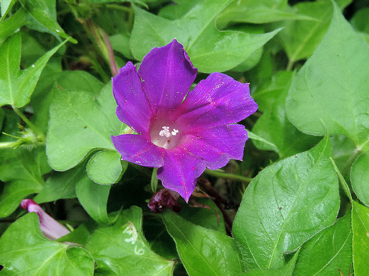 DSCN0207