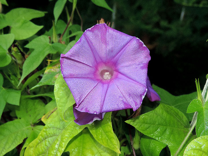 DSCN0242