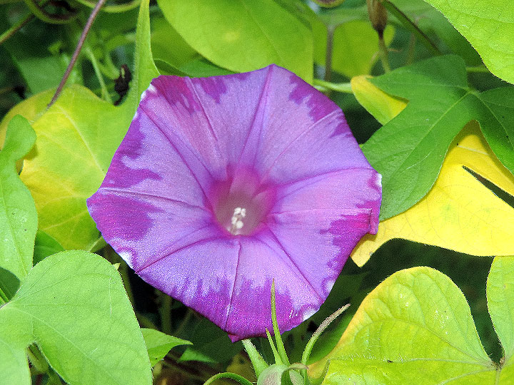 DSCN0243