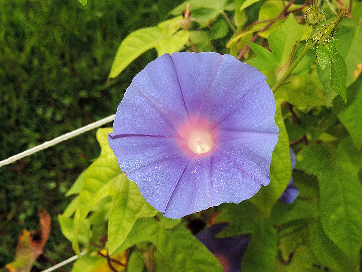 DSCN0244