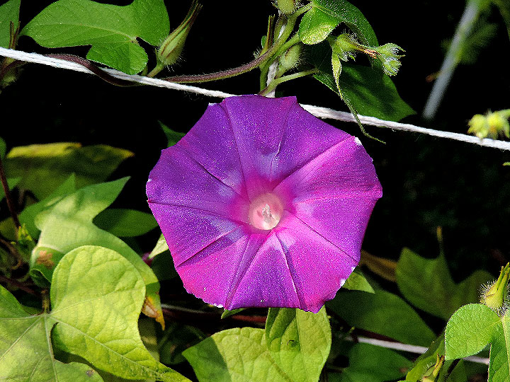 DSCN0348