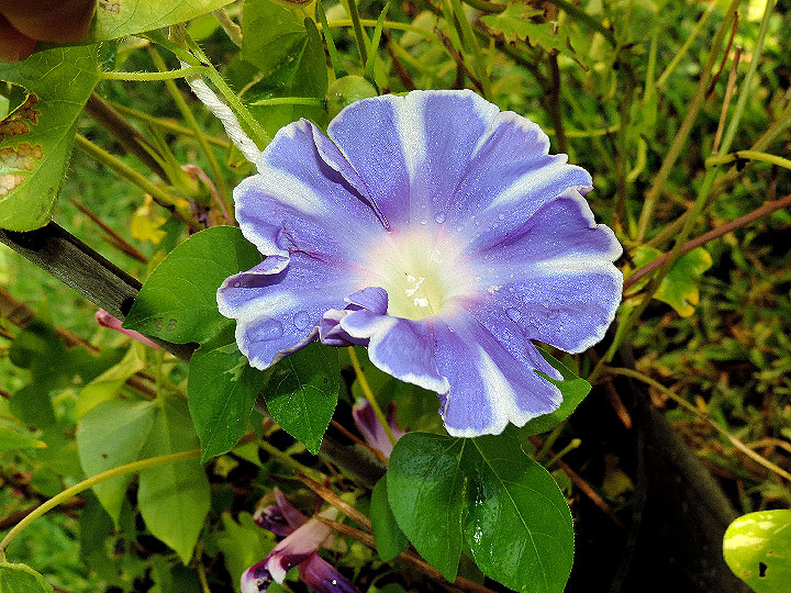 DSCN0353
