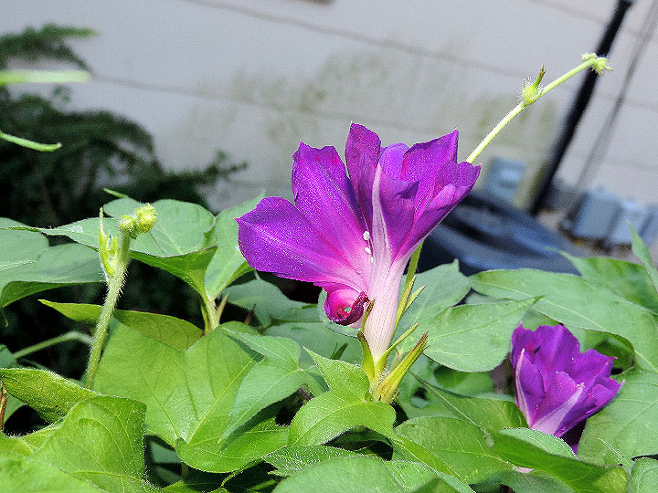 DSCN0408