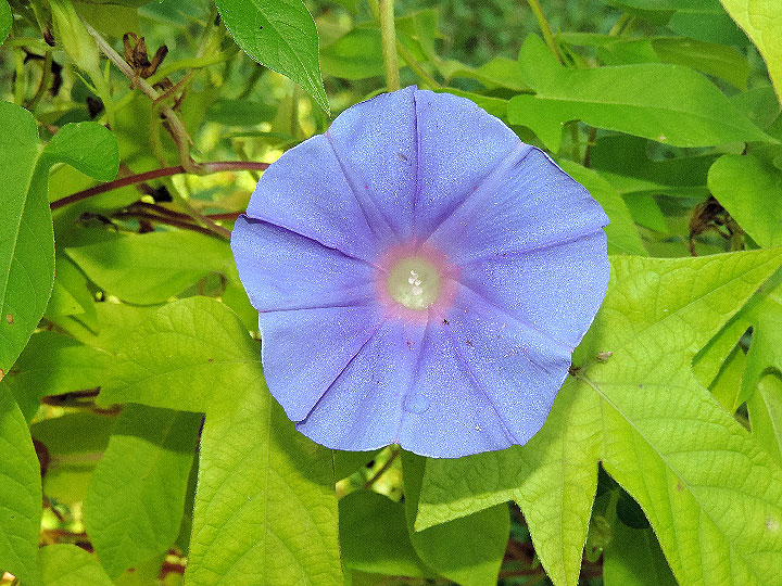 DSCN0449
