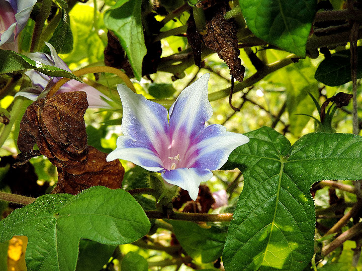 DSCN0473