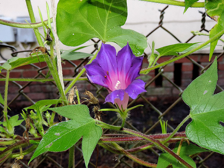 DSCN0524