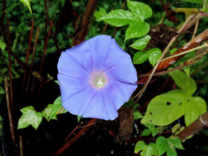 DSCN0557