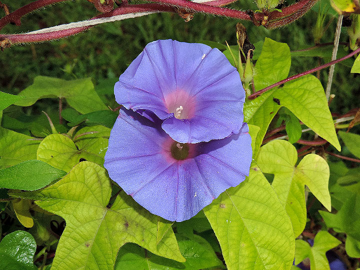 DSCN0562