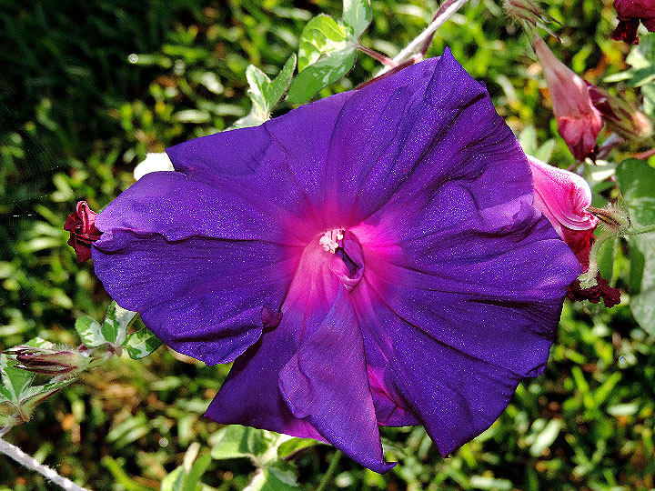 DSCN0587
