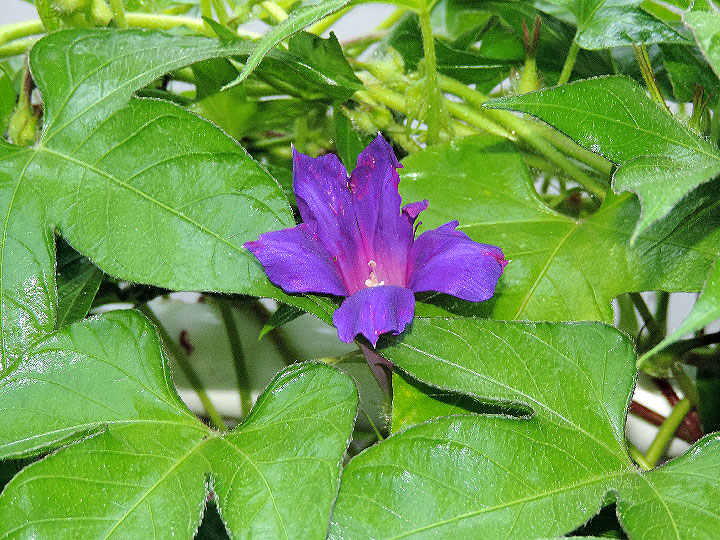 DSCN0640