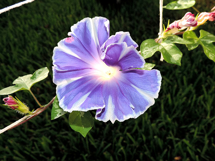 DSCN0685