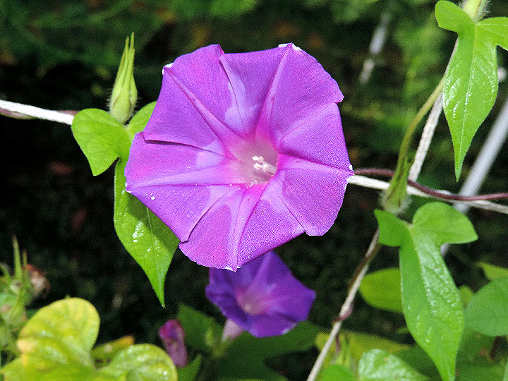 DSCN0753