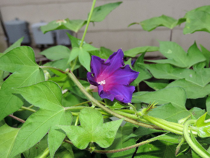 DSCN0820
