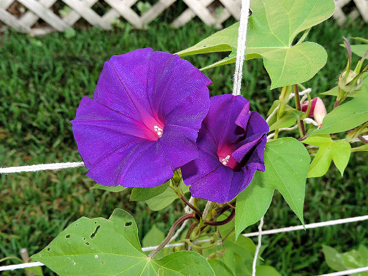 DSCN0837