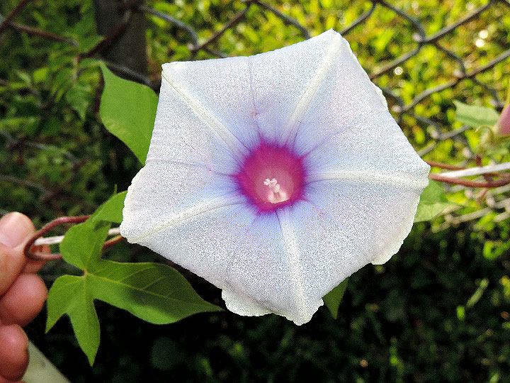 DSCN0843