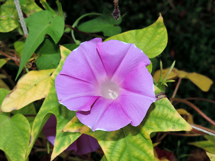 DSCN0857