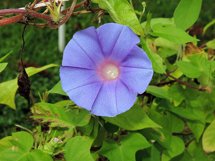 DSCN0866