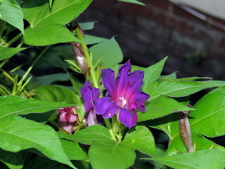 DSCN1066