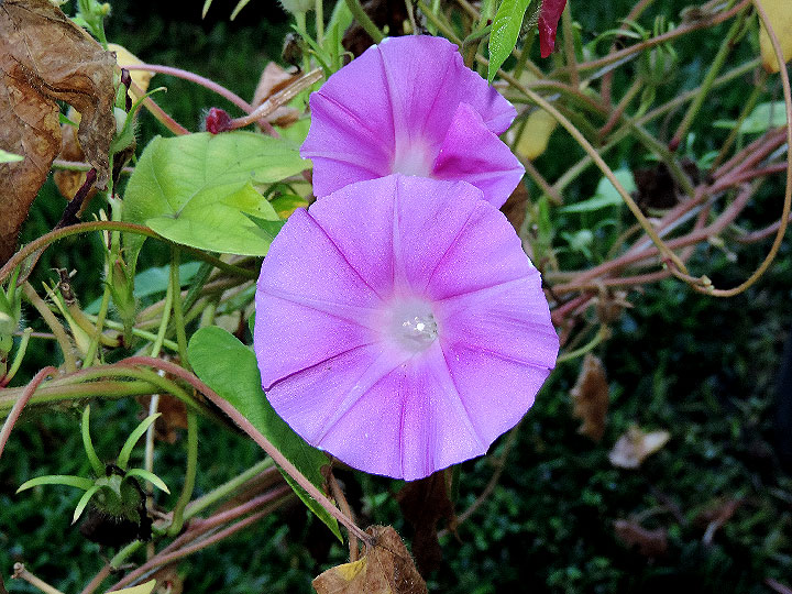 DSCN1102