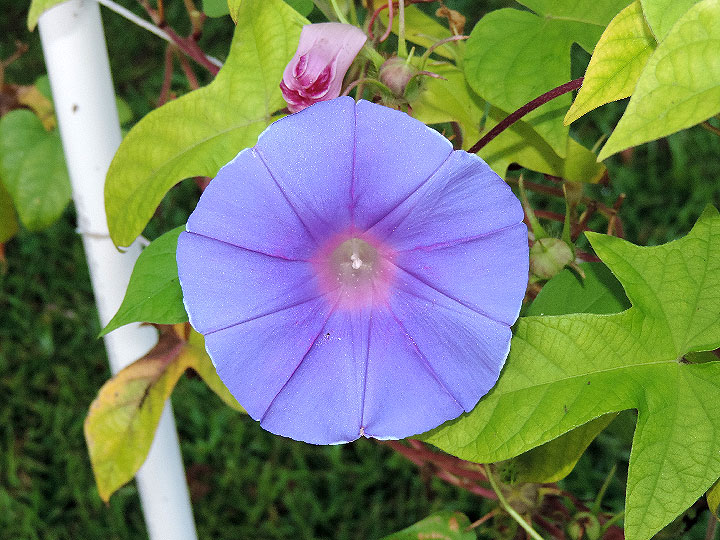 DSCN1108