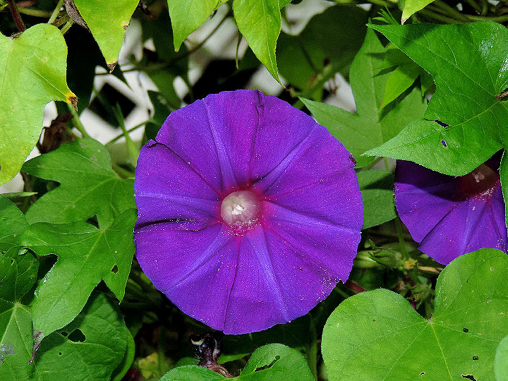 DSCN1120