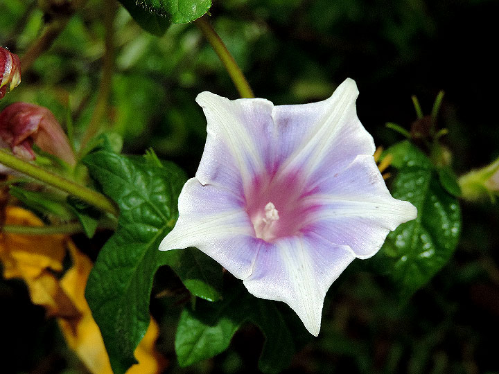 DSCN1124
