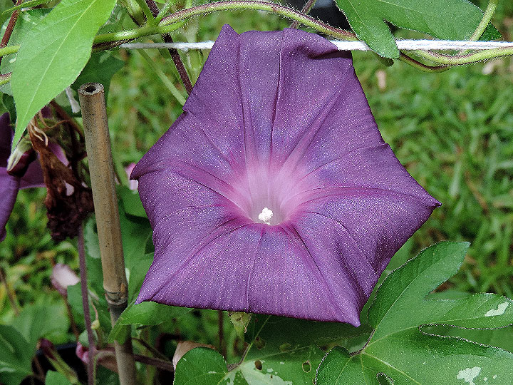 DSCN1161