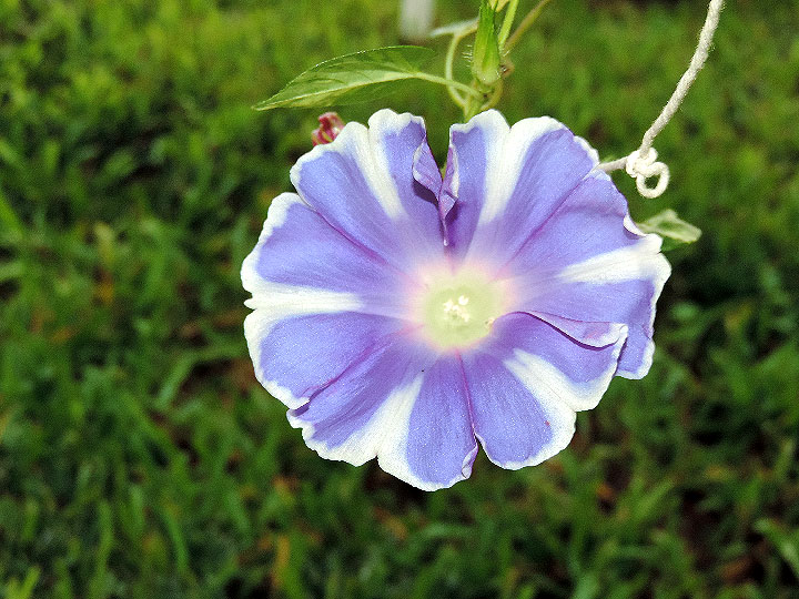 DSCN1237