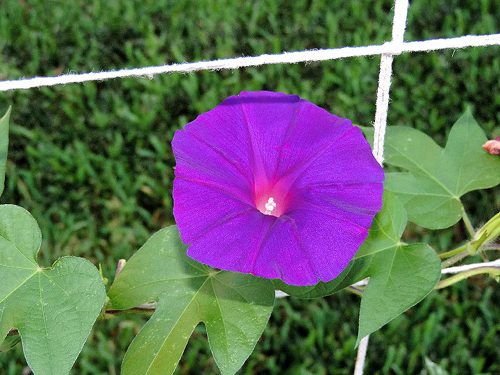 DSCN1396
