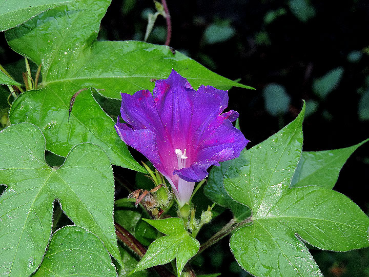 DSCN1404