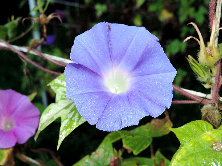DSCN1429