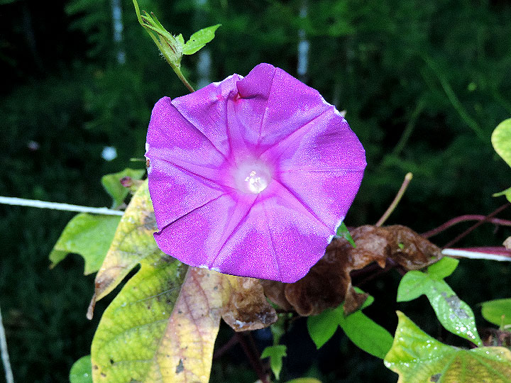 DSCN1432