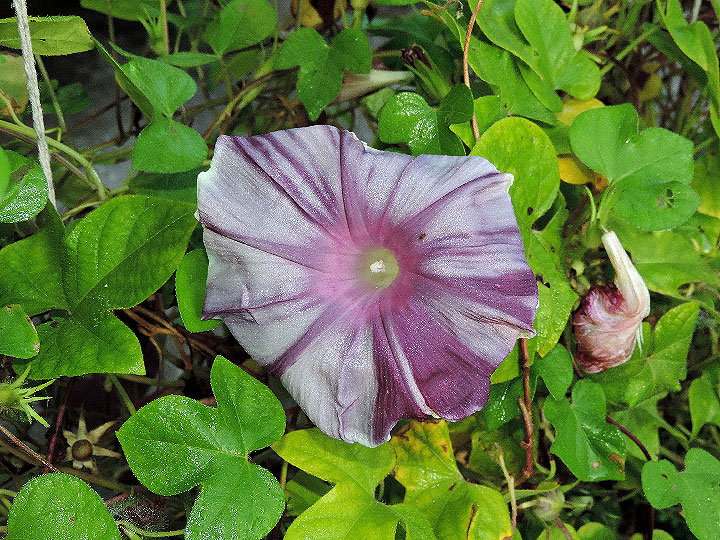 DSCN1437