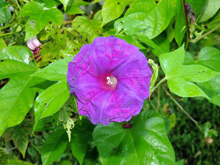 DSCN1439