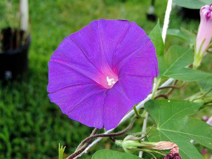 DSCN1479