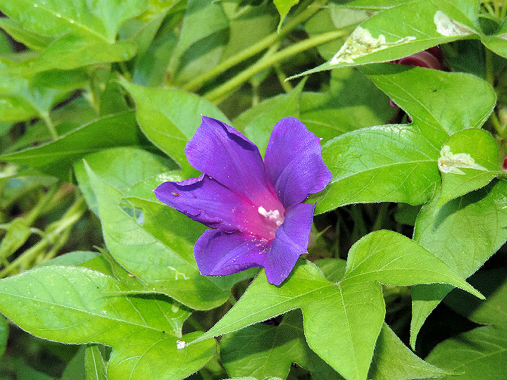 DSCN1500