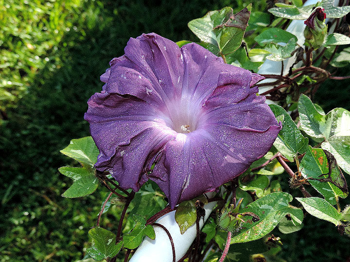 DSCN1528