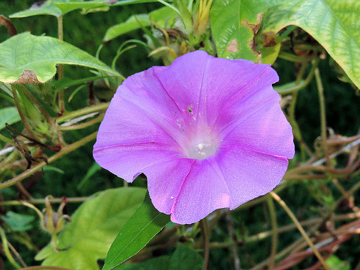 DSCN1536