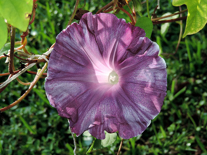 DSCN1547