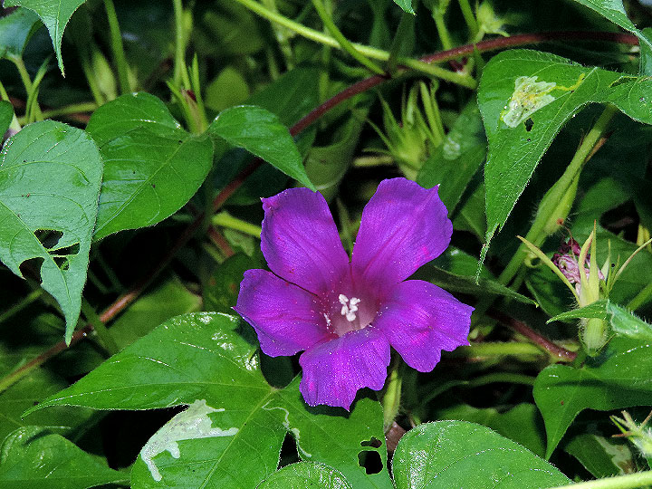 DSCN1613