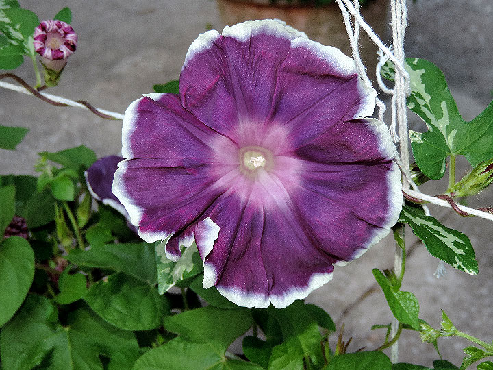 DSCN1639