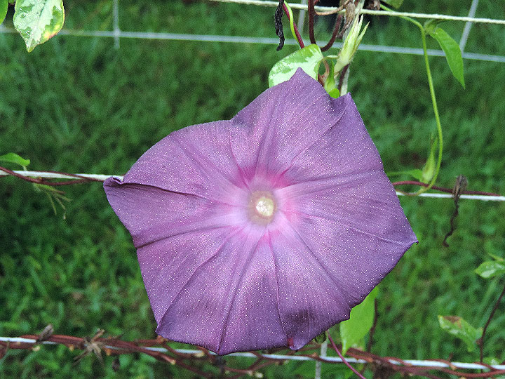 DSCN1651