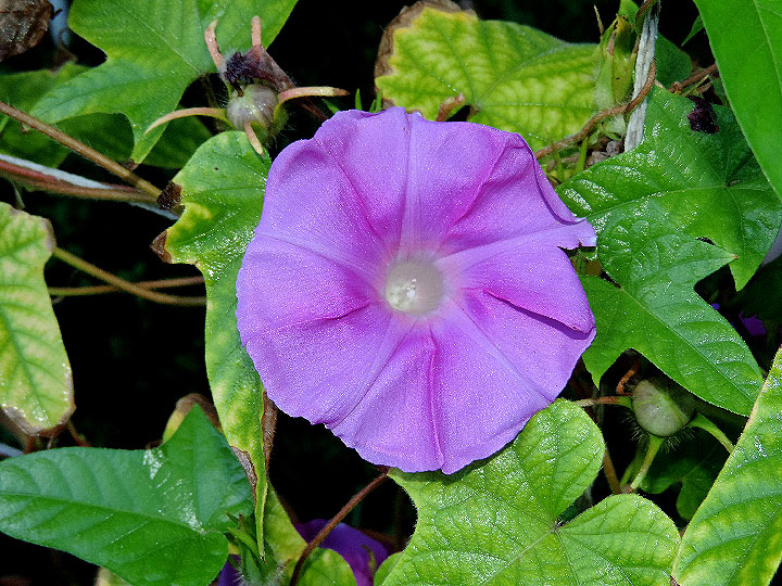 DSCN1654