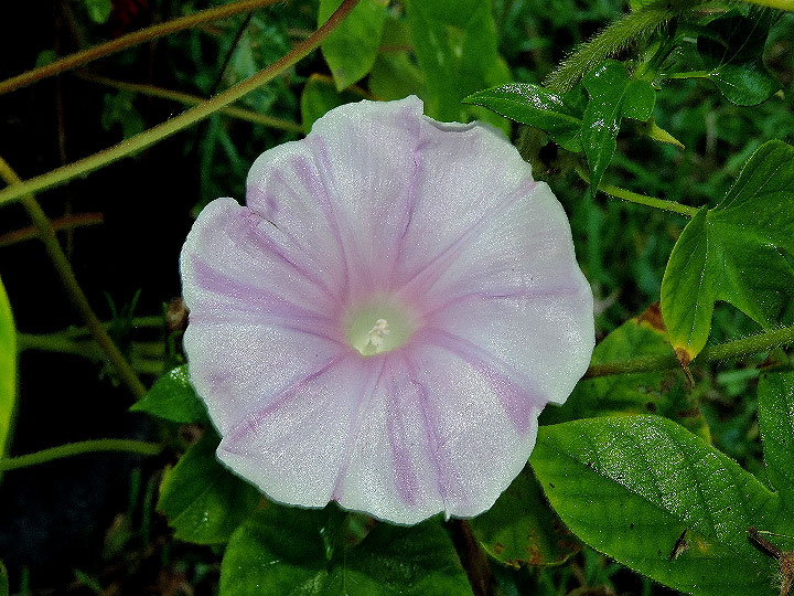 DSCN1658