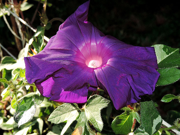 DSCN1727