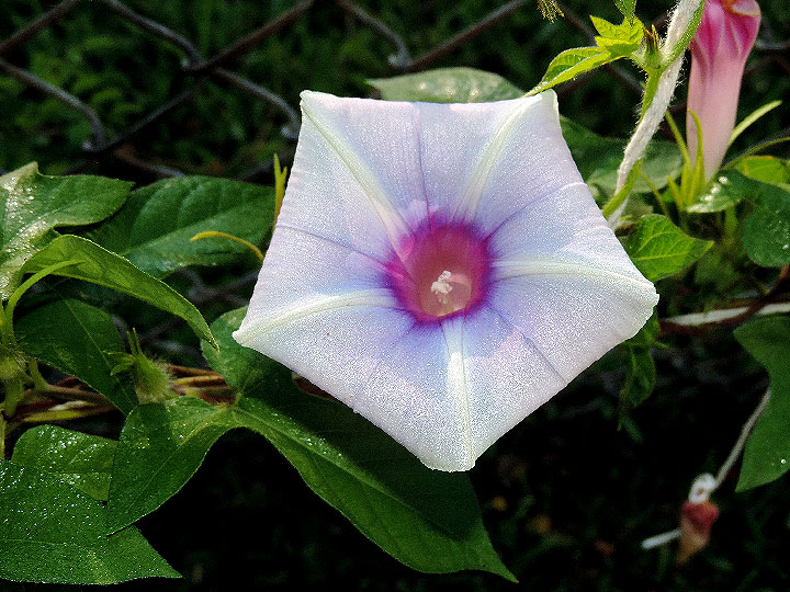 DSCN1735