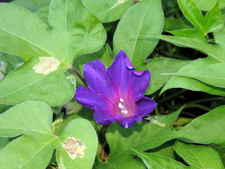 DSCN1817