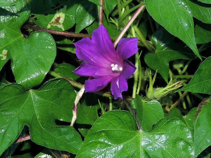 DSCN2005