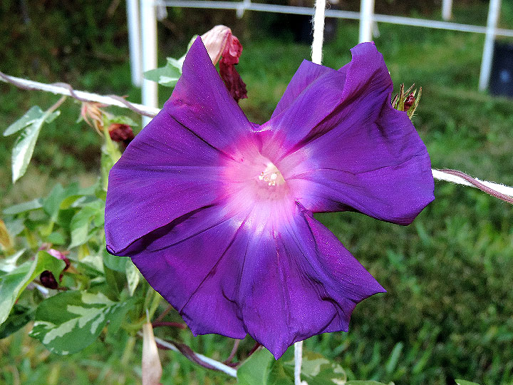 DSCN2086